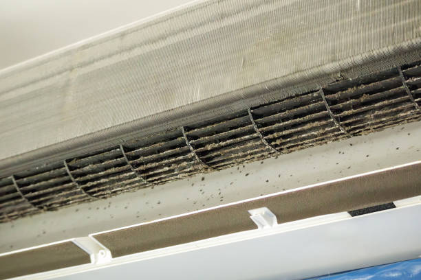 Best Air Duct Cleaning Near Me  in North College Hill, OH